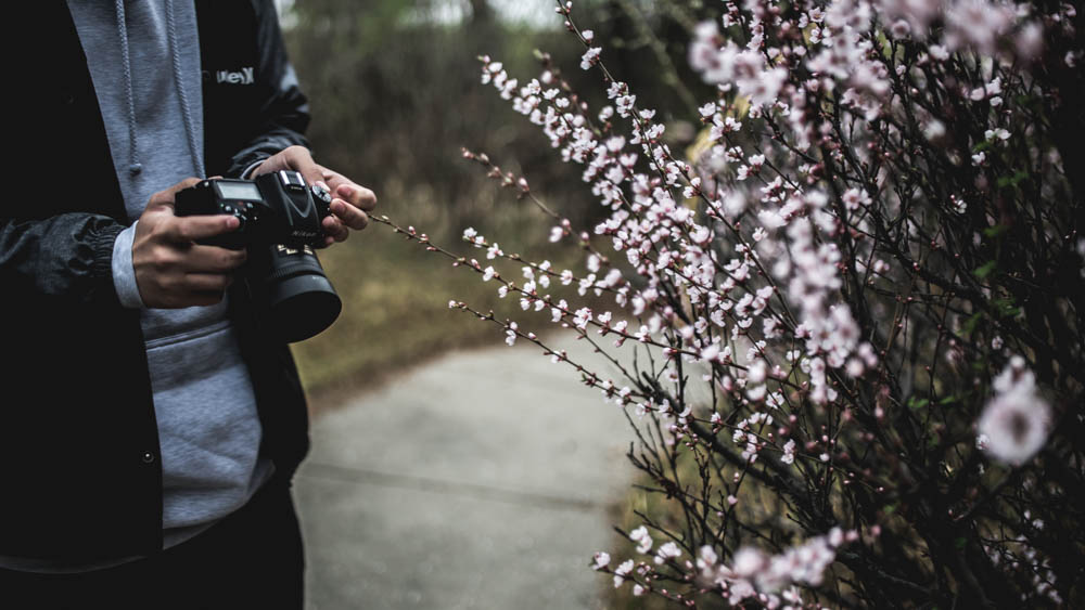 featured image of the best nikon lenses for portrait photography