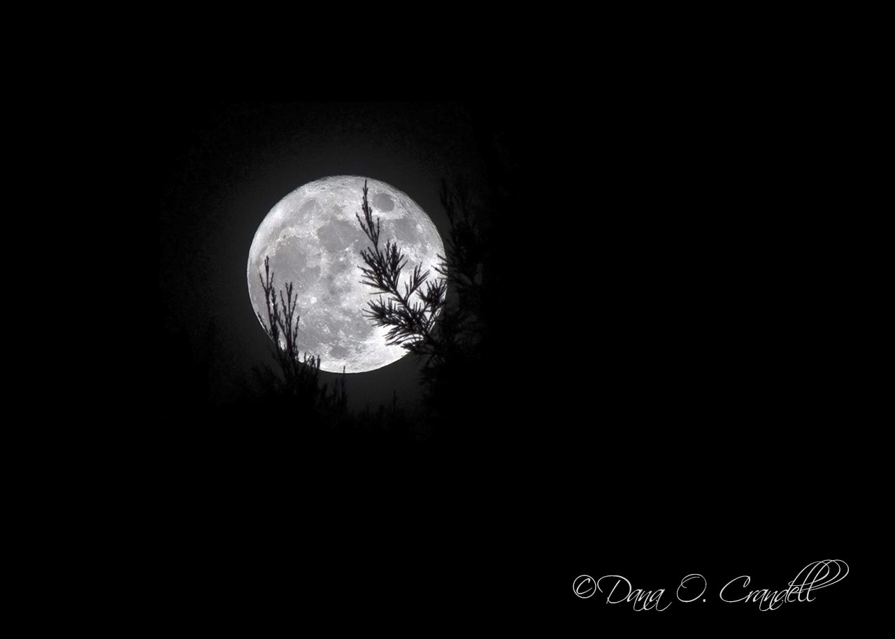 A bright white moon against a dark black night sky.