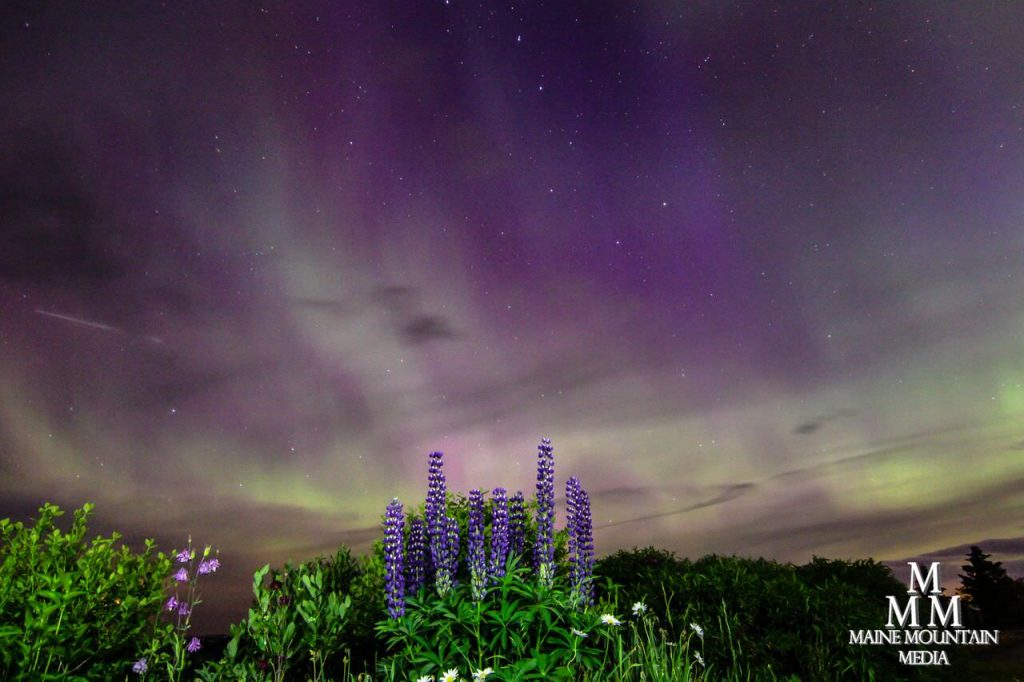 Image showing purple flowers and a nightscape of the northern lights as an example of nightscape photography settings