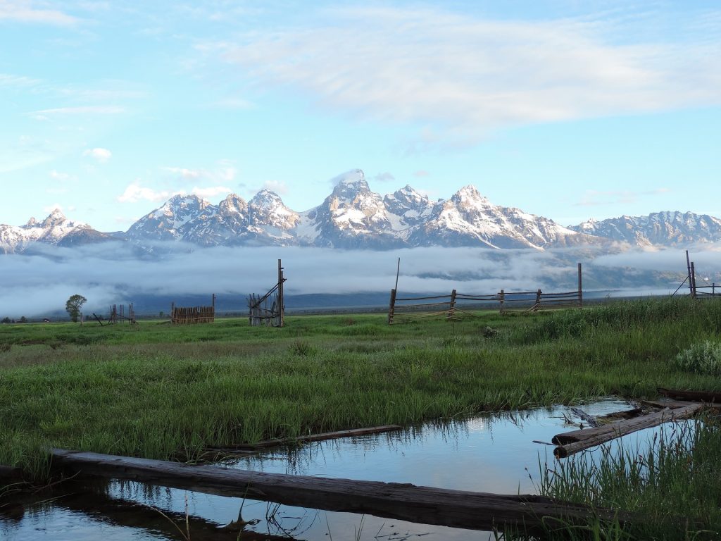 A photo of a small pond and some broken old wood fences in front of some fog and the Grand Tetons in the background