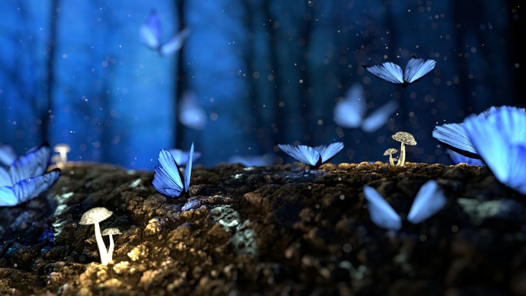 Photo of blue butterflies shot with a slow shutter speed so you can tell they're flapping their wings