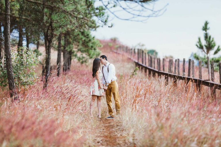 A couple in formal wear kissing on a trail with wheat plants on either side in between a brown wood fence and pine trees.