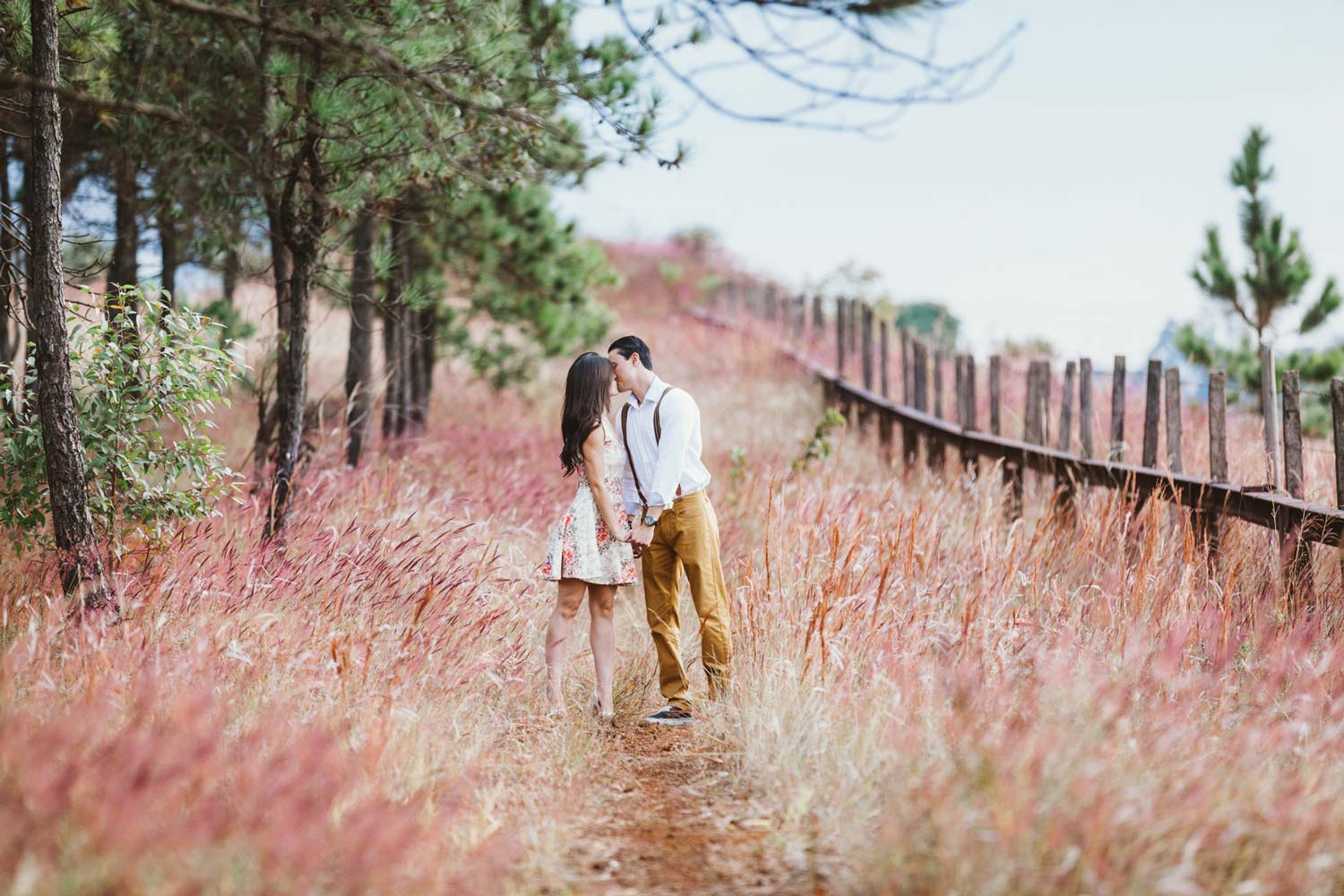 A couple in formal wear kissing on a trail with wheat plants on either side in between a brown wood fence and pine trees.