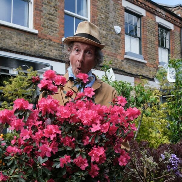 Street photo of a man with surprised expression peeking out over a pink flower bush