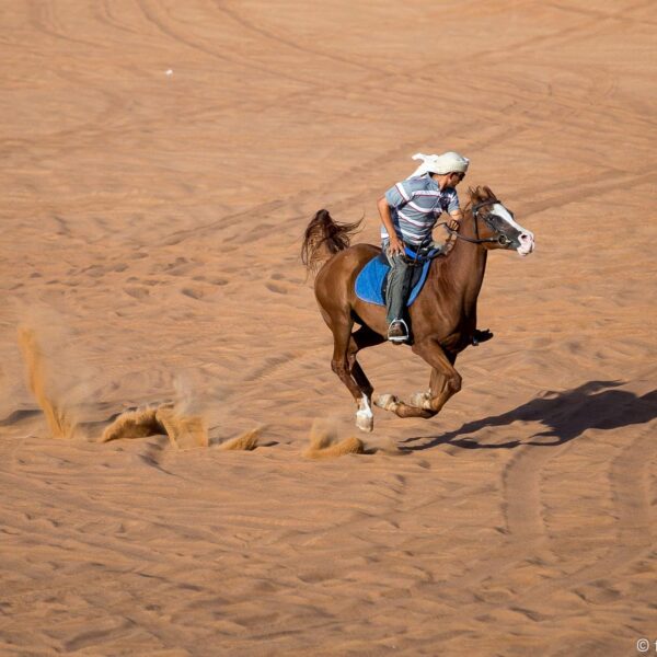 A man riding a horse in a desert in Dubai.