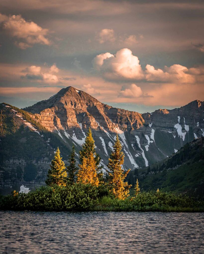 A snowy mountain range, pine trees, and a lake with blue water.
